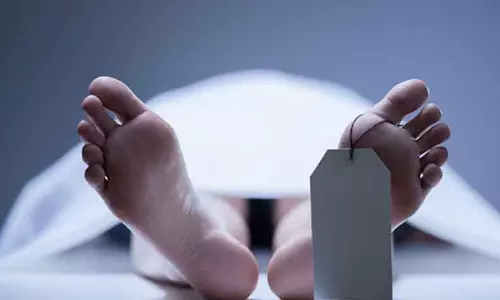 தேனீ கடித்து மூதாட்டி சாவு