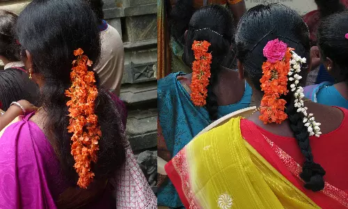 நாகரிக பெண்கள் சூட மறுக்கும் கனகாம்பரம்