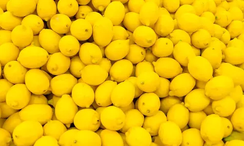 எலுமிச்சை வரவு அதிகரிப்பால் விலை சரிவு