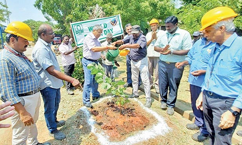 சாகுபுரம் டி.சி.டபிள்யூ நிறுவனத்தில்  மரக்கன்றுகள் நடும் விழா