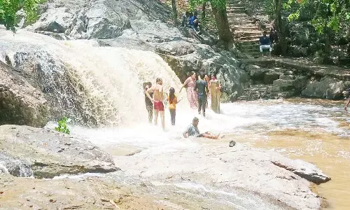 ஜவ்வாது மலை பீமன் நீர்வீழ்ச்சியில் ஆர்ப்பரிக்கும் தண்ணீர்