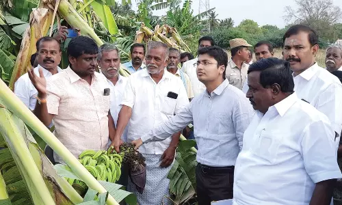 கோவையில் 35 குளங்களில் வண்டல் மண் எடுக்க விவசாயிகளுக்கு அனுமதி- கலெக்டர் கிராந்திகுமார் பாடி பேட்டி