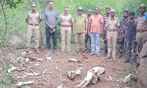 கோவை வனக்கோட்டத்தில் 6 வயது ஆண் யானையின் தந்தங்கள், எலும்புகள் கண்டெடுப்பு