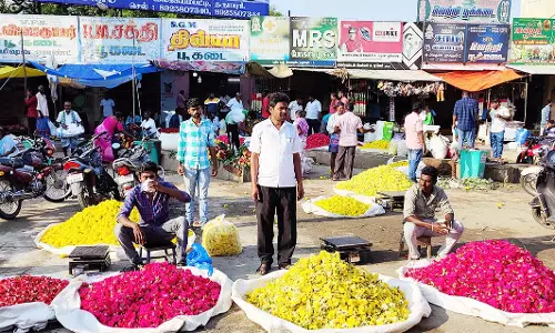 பூக்களின் விலை கடும் சரிவு