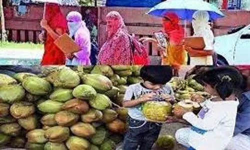 கிருஷ்ணகிரி மாவட்டத்தில் அனல்காற்று வீசுகிறது:கோடைவெப்பத்தில் இருந்து பாதுகாத்து கொள்ள வழிமுறைகள்