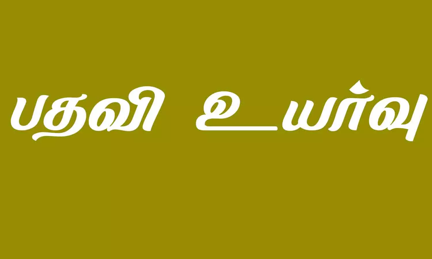 9 அதிகாரிகளுக்கு பதவி உயர்வு 9 அதிகாரிகளுக்கு பதவி உயர்வு