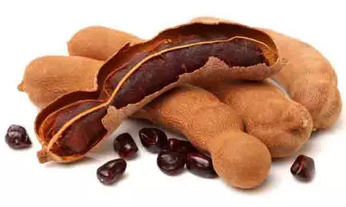 புளி விலை வீழ்ச்சியால் உற்பத்தியாளர்கள் கவலை