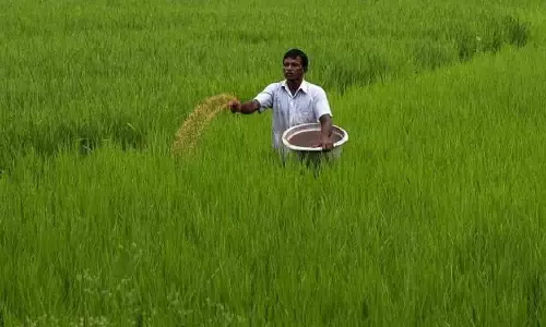 கிரெய்ன்ஸ் இணையதளத்தில் பதிவேற்றும் - வேளாண்  திட்டத்தில் குளறுபடிகளை தவிர்க்க வேண்டும்
