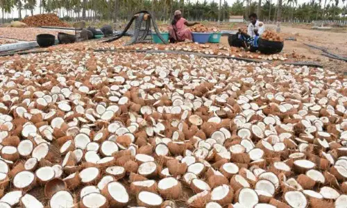 சந்தை ஆலோசனை அடிப்படையில் விற்பனை முடிவுகளை எடுக்கலாம் -விவசாயிகளுக்கு வேளாண் பல்கலைக்கழகம் அறிவுரை