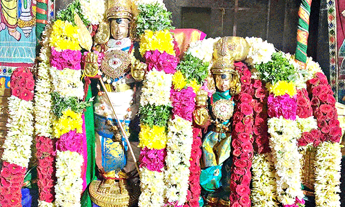 மீனாட்சி சுந்தரேசுவரர் திருக்கல்யாணம்: முருகன்-தெய்வானை புறப்பாடு