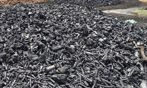 கோடை காலத்தில் விவசாயிகளுக்கு பலன் தரும் கரிமூட்டதொழில்