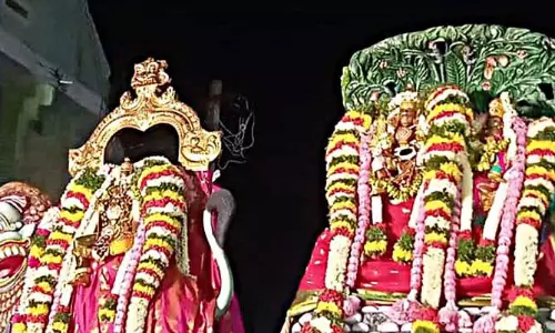 ஆனந்தவல்லி அம்மன்  பக்தர்கள் வழிபாடு