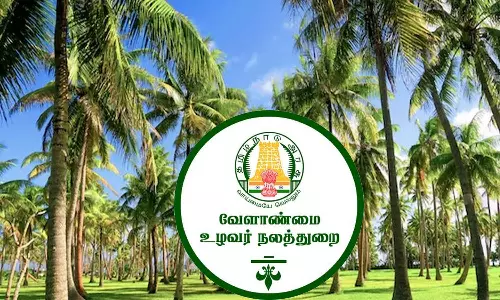 தென்னை மரத்தில் சுருள் வெள்ளை நோயை கட்டுப்படுத்தும் வழிமுறைகள் - வேளாண்மை துறை விளக்கம்