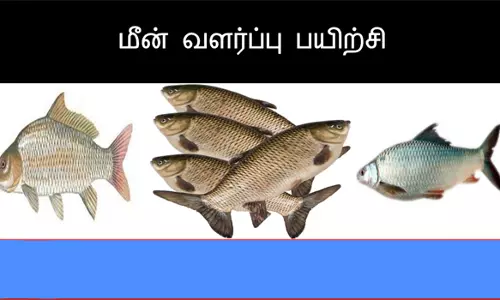 நாமக்கல்லில் நாளை கோடைகால மீன் வளர்ப்பு இலவச பயிற்சி