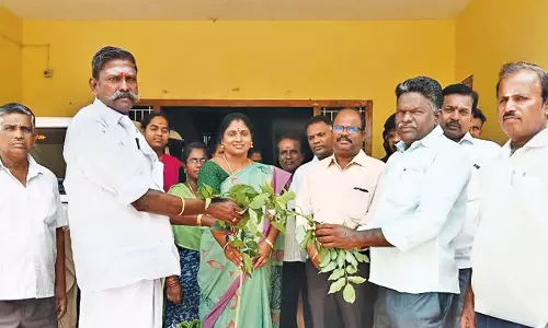 திருத்துறைப்பூண்டியில், 500 குடும்பங்களுக்கு மரக்கன்றுகள் வழங்கல்