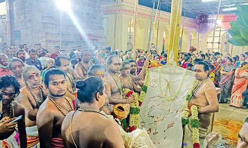 திருக்கடையூர் அமிர்தகடேஸ்வரர் கோவிலில் சித்திரை திருவிழா கொடியேற்றம்