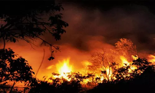 ஊத்துமலையில் பற்றி எரிந்த காட்டுத்தீ