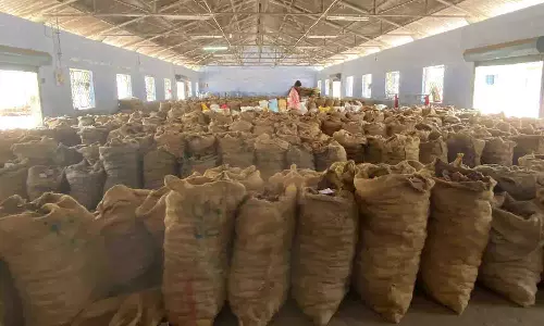 வெள்ளகோவிலில் ரூ.50 லட்சத்திற்கு தேங்காய் பருப்பு விற்பனை