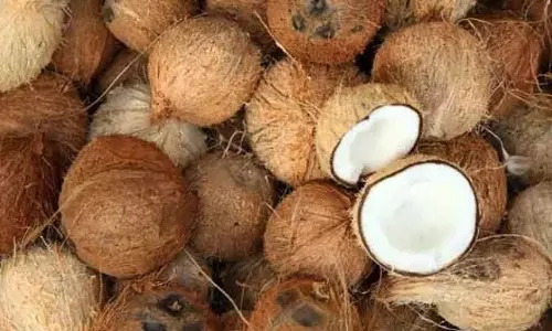 தேங்காய் ஏலம்