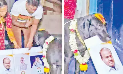 கர்நாடகாவின் அடுத்த முதல்-மந்திரி யார்?- எச்.டி.குமாரசாமி படத்தை கவ்வி எடுத்த பைரவா நாய்