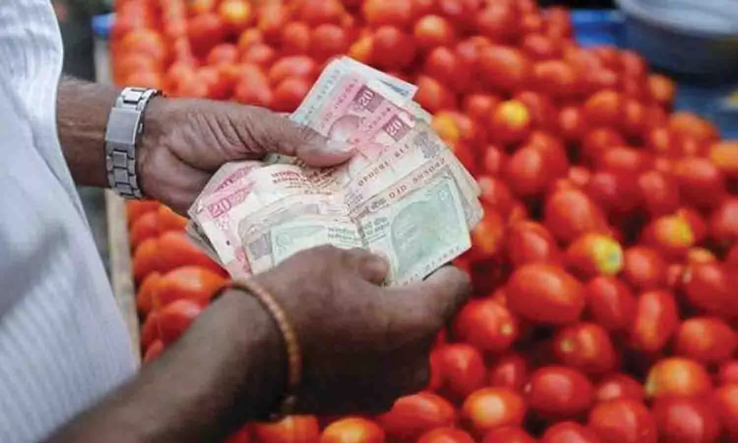 தக்காளி விலை சரிவால் விவசாயிகள் அதிர்ச்சி தக்காளி விலை சரிவால் விவசாயிகள் அதிர்ச்சி