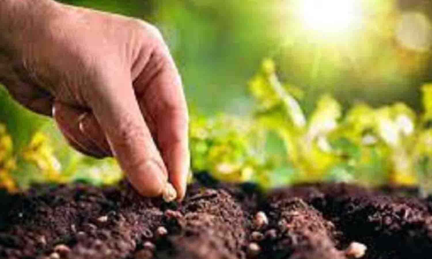 உரிமம் பெற்ற கடைகளில் மட்டுமே விவசாயிகள் விதை வாங்கி நடவு செய்ய வேண்டும்