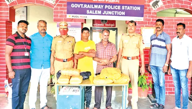 சேலம் வந்த ரெயிலில் 10 கிலோ கஞ்சாவுடன் 2 பேர் கைது சேலம் வந்த ரெயிலில் 10 கிலோ கஞ்சாவுடன் 2 பேர் கைது