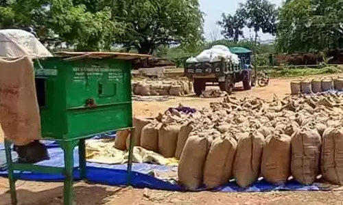 புதுக்கோட்டையில் ரூ.7.22 கோடி மதிப்பீட்டில் 5 நெல் கொள்முதல் நிலையங்களை காணொளி மூலம் முதல்-அமைச்சர் திறந்து வைத்தார்