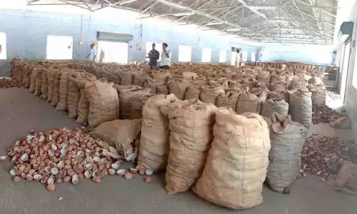 வெள்ளக்கோவில் ஒழுங்குமுறை விற்பனைக்கூடத்தில் ரூ. 50.37 லட்சத்துக்கு கொப்பரை விற்பனை