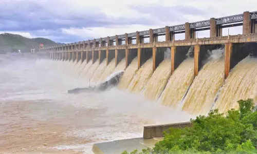 அமராவதி அணையில் இருந்து  பாசனத்துக்கு  தண்ணீா் திறக்க நடவடிக்கை எடுக்க வேண்டும் - விவசாயிகள் கோரிக்கை