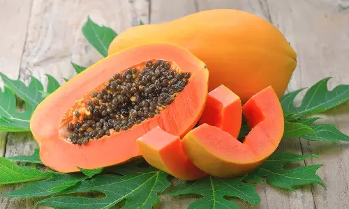 பலன் மிக்க பப்பாளி