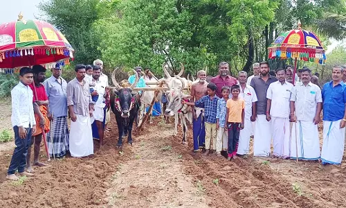 தமிழ் புத்தாண்டு புதுமழையை தொடர்ந்து பொன் ஏர் பூட்டும் திருவிழா