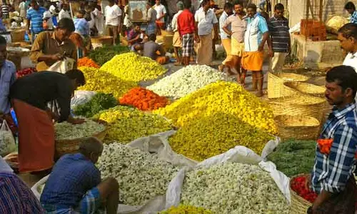 பரமத்தி வேலூரில்வரத்து அதிகரிப்பால் பூக்களின் விலை வீழ்ச்சி