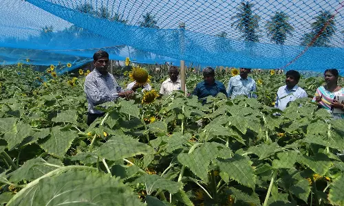வேளாண்மை ஆராய்ச்சி நிலையத்தில் கண்காணிப்புக்குழு ஆய்வு