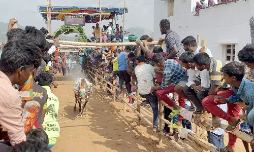 எருதுவிடும் விழா