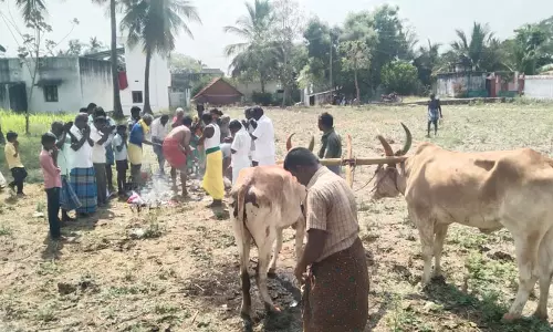 பொன்னேர் உழுதல் நிகழ்வு
