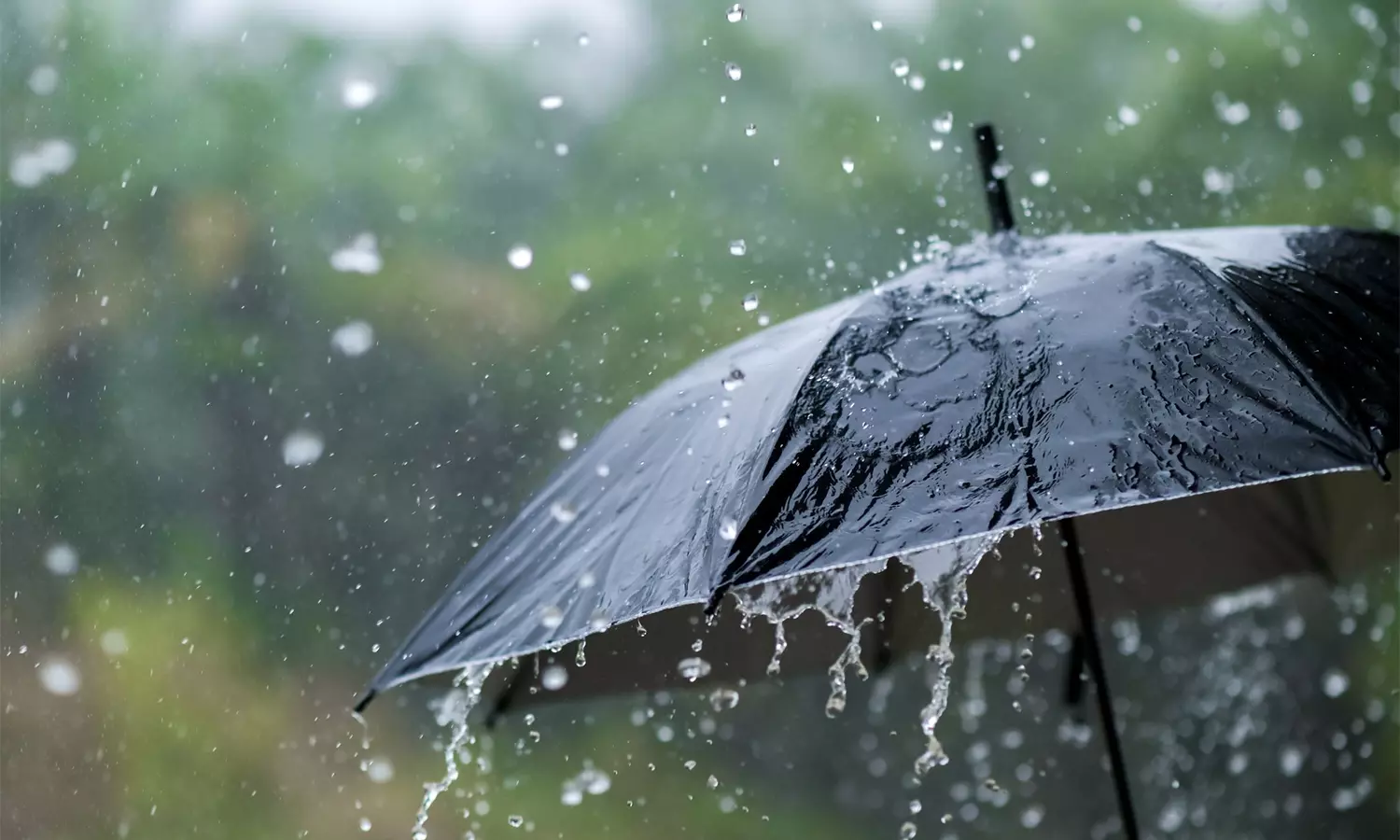 கர்நாடகத்தில் அடுத்த 5 நாட்களுக்கு கன மழை பெய்யும்: வானிலை ஆய்வு மையம்  தகவல் | Karnataka to receive heavy rains for next 5 days Meteorological  Department