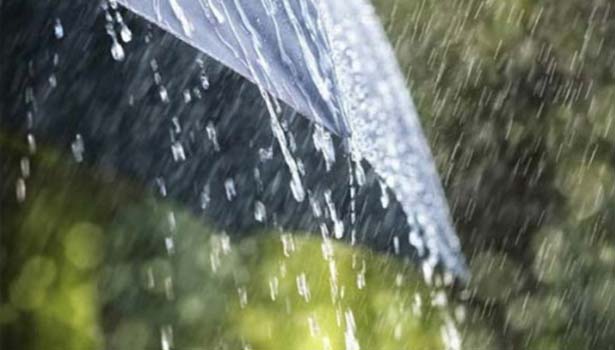 நெல்லை, தென்காசி, தூத்துக்குடி மாவட்டங்களில் பரவலான கோடை மழையால் பொதுமக்கள் மகிழ்ச்சி நெல்லை, தென்காசி, தூத்துக்குடி மாவட்டங்களில் பரவலான கோடை மழையால் பொதுமக்கள் மகிழ்ச்சி