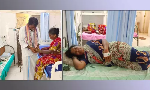 100 நாள் வேலை திட்ட பணியாளர்கள் 10 பேரை தேனீக்கள் கொட்டியது