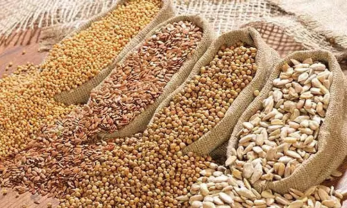 விதை சேமிப்பில் விதை ஈரப்பதத்தின் பங்கு குறித்து அதிகாரி விளக்கம்