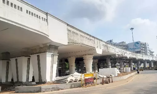 ரூ.8.45 கோடி செலவில் அண்ணா மேம்பாலத்தை வலுப்படுத்தி அழகுபடுத்தும் பணிகள் தீவிரம்