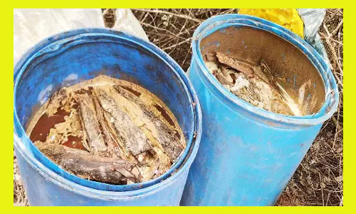 4500 லிட்டர் சாராய ஊறல்கள் அழிப்பு