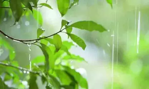 நாமக்கல் மாவட்டத்தில்இயல்பை விட 42 மில்லி மீட்டர் மழை குறைவாக பெய்தது