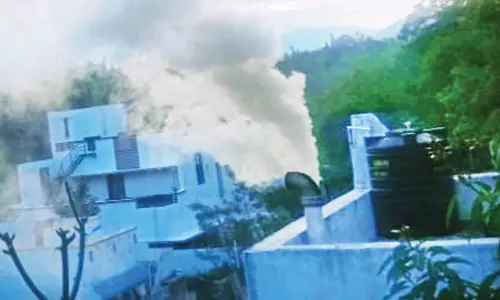 பெரும்பாறையில் முறைகேடாக செயல்பட்ட ஏலக்காய் பதப்படுத்தும் தொழிற்சாலை மூடல்