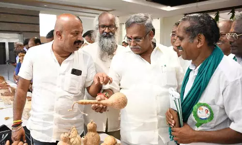 இயற்கை வழி வேளாண்மை திருவிழா