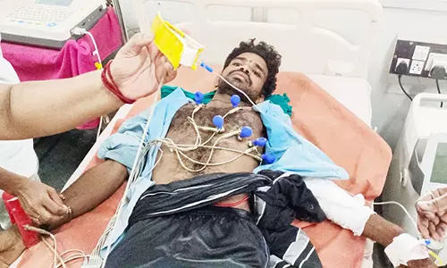 ஜல்லிக்கட்டு போட்டி- மின்சாரம் தாக்கி 14 பார்வையாளர்கள் காயம்