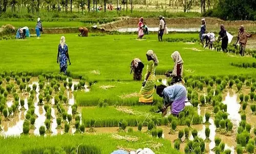 விவசாயிகளின் ஆவணங்களை இணையதளத்தில் பதிவு செய்ய அழைப்பு