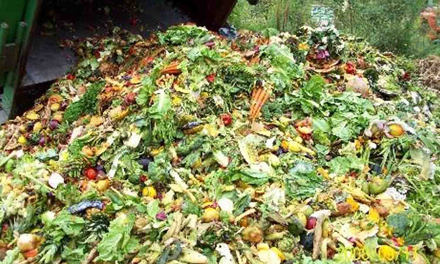 சின்னவீரம்பட்டி பகுதியில் காய்கறி கழிவுகளால் சுகாதார சீர்கேடு