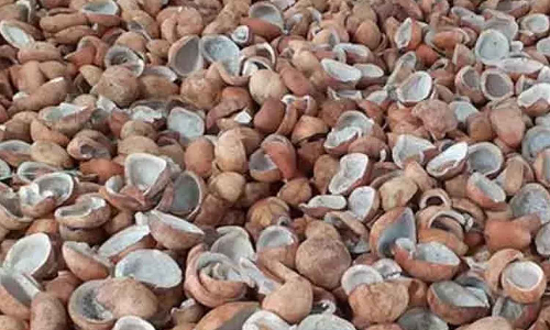 வெள்ளகோவில் வேளாண் ஒழுங்குமுறை விற்பனை கூடத்தில் தேங்காய் பருப்பு ஏலம் -  2-ந்தேதி ரத்து