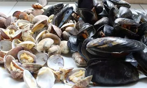 பழவேற்காடு-மீஞ்சூர் பகுதியில் சிப்பிக் கறி விற்பனை அமோகம்: ஒரு கிலோ ரூ.50-க்கு விற்பனை